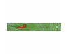 Auroshikha Freedom Incense